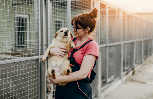 Storms and Fireworks: A Vet's Secrets to Calming Your Nervous Pet